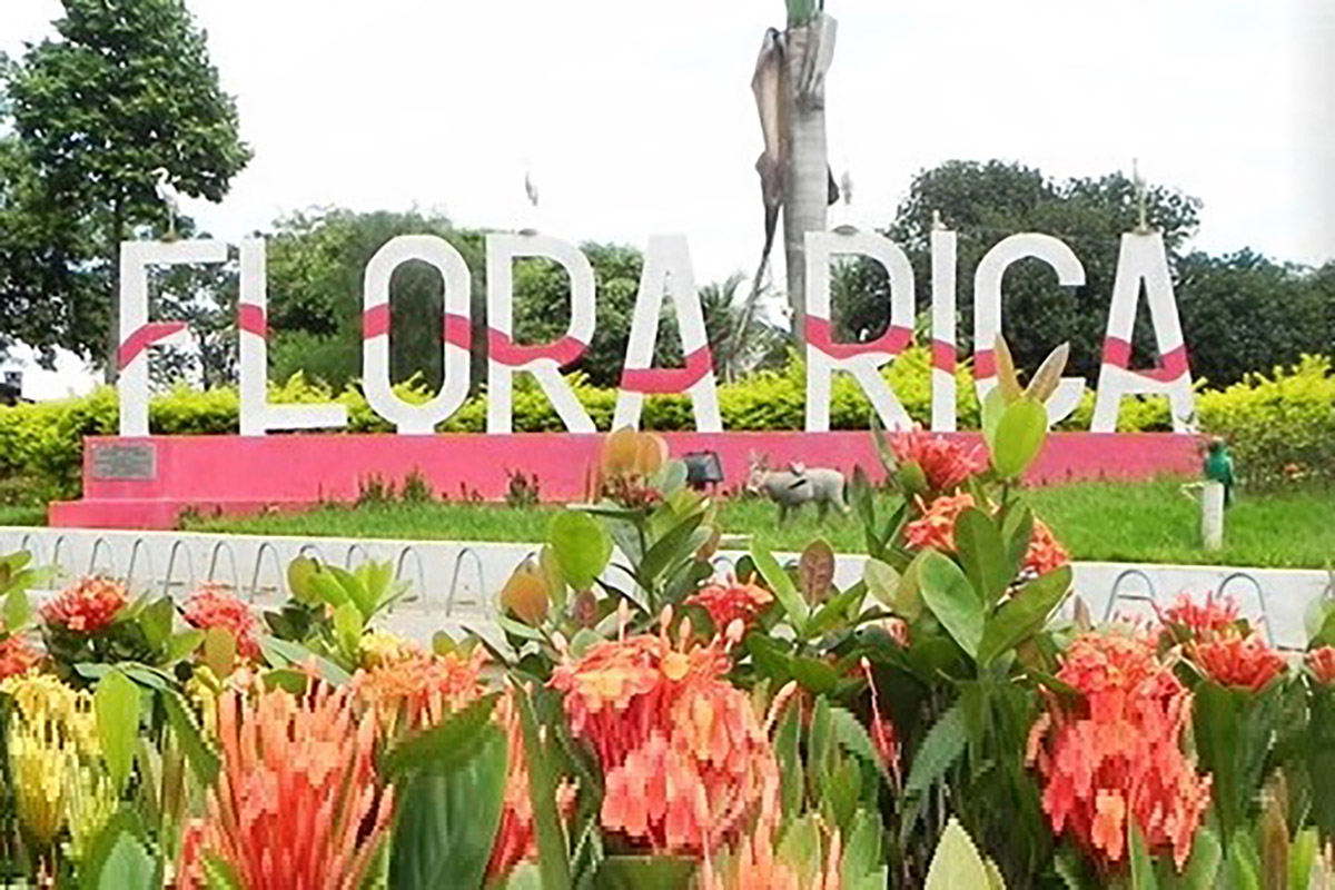 FLORA RICA